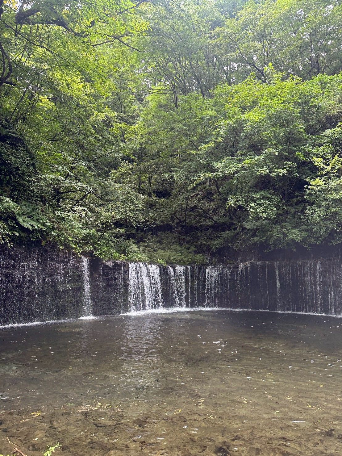 白糸の滝